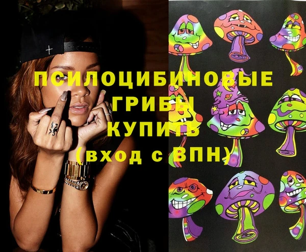 мескалин Каменка