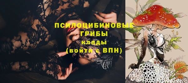 мескалин Каменка