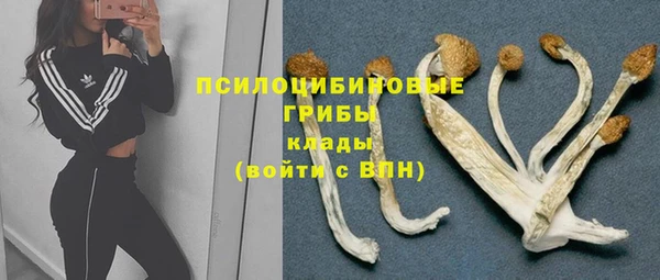экстази Каменногорск