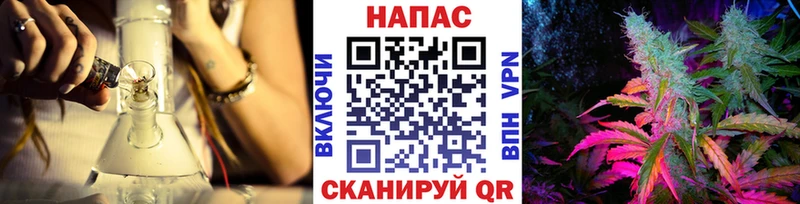Купить где  Афипский  Конопля ГИДРОПОН 